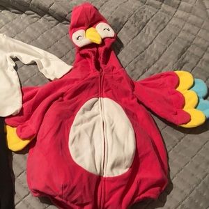 Carter’s parrot costume